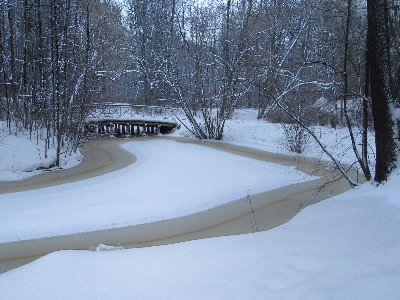 Зима на Елагином острове II