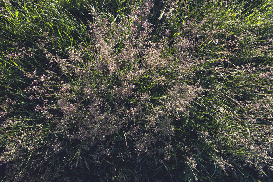 Жизнь вокруг