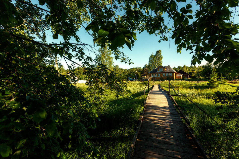 Жизнь вокруг