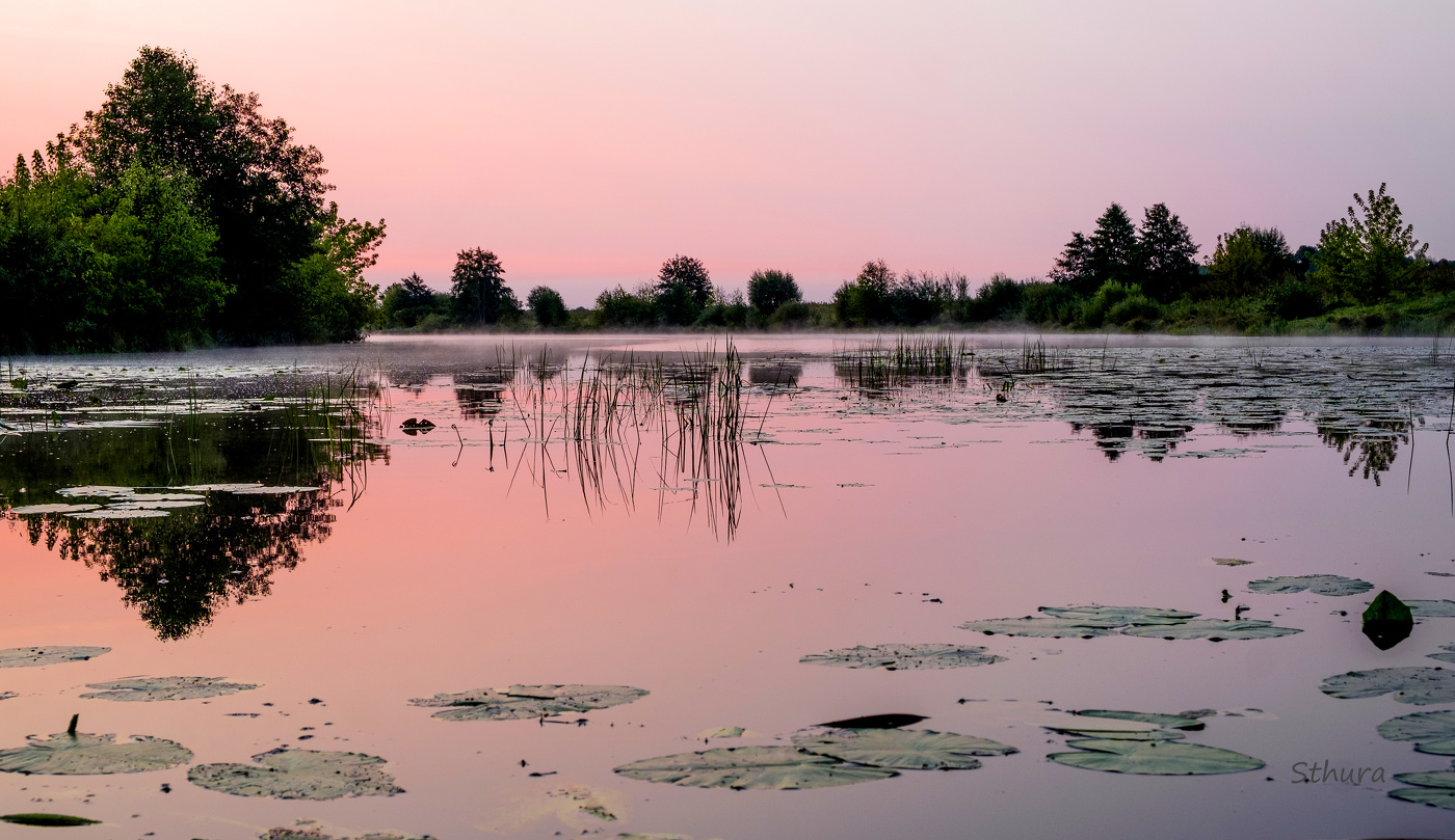 Озеро Сосновое. Утро.