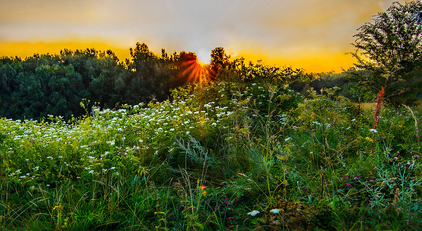 Ручеёк от солнца