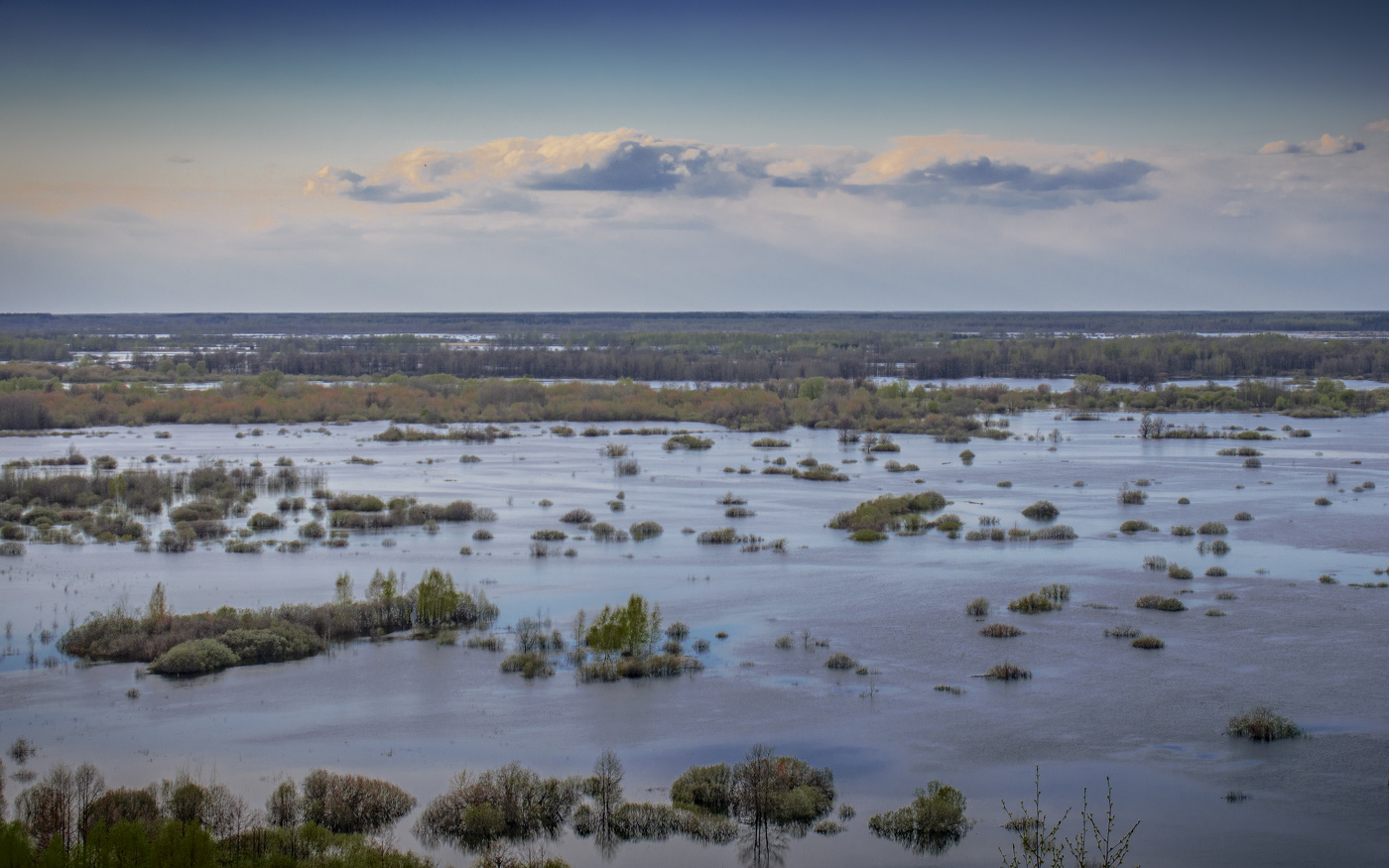 Пейзаж с водой, деревьями и облаками