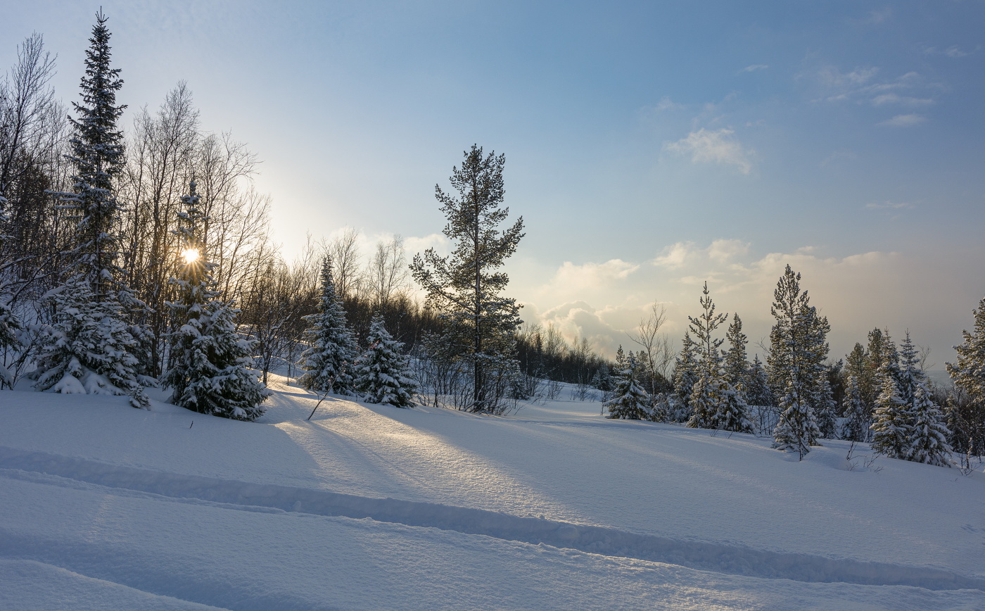заснеженность