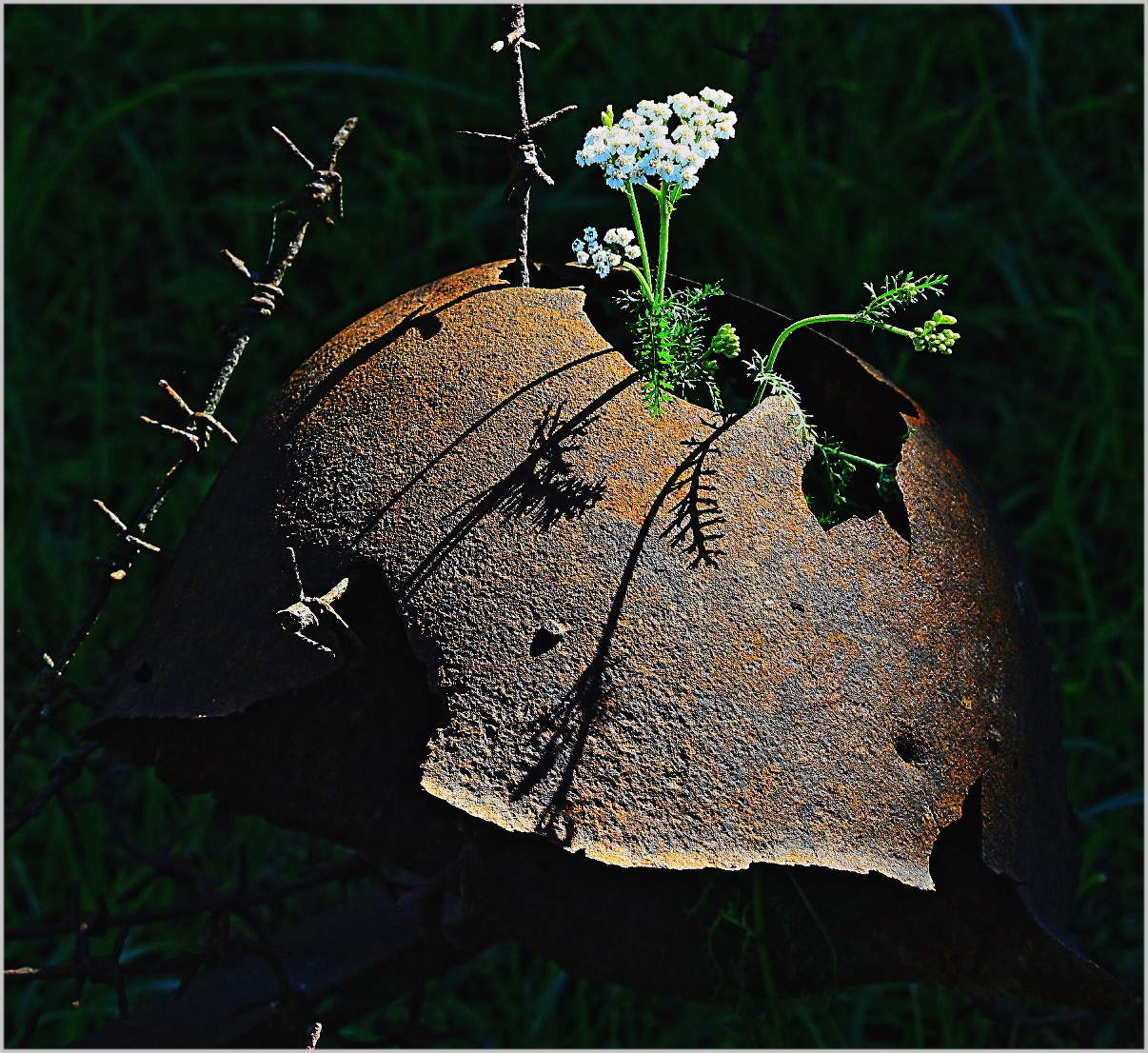 22 июня - День Памяти и Скорби !!!