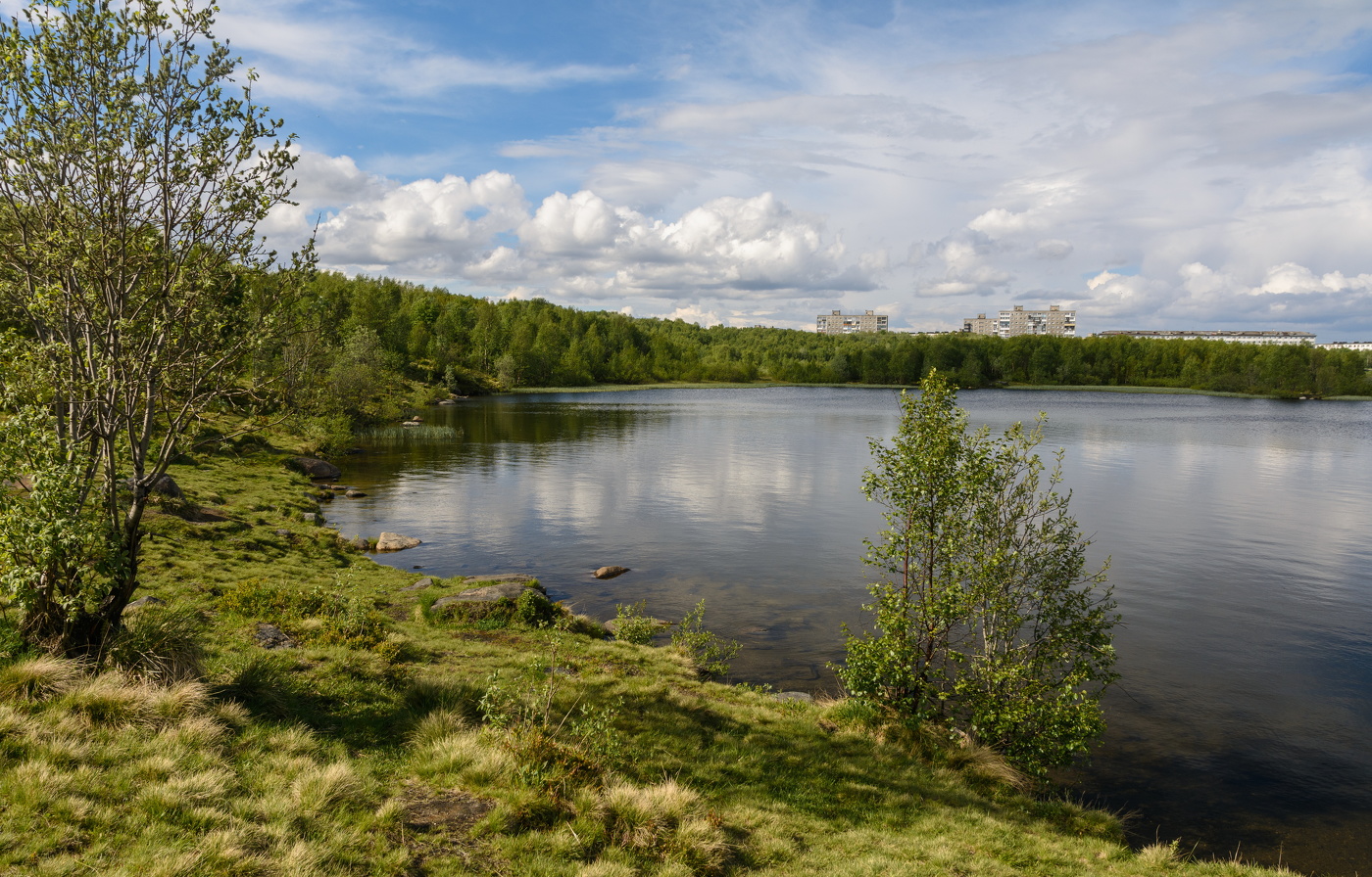 зелёные берега