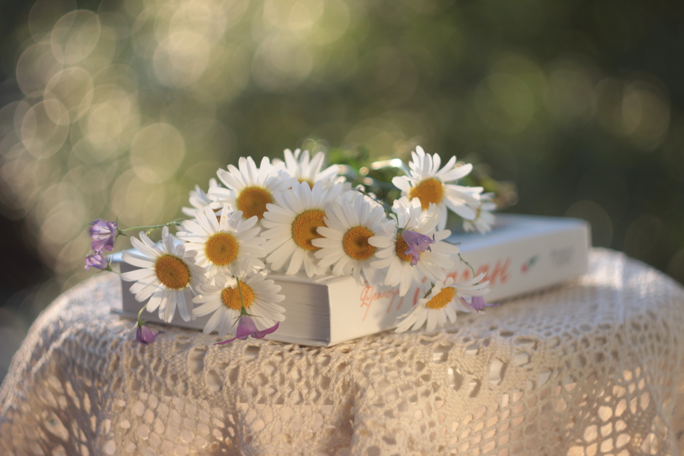 Р о м а ш к и