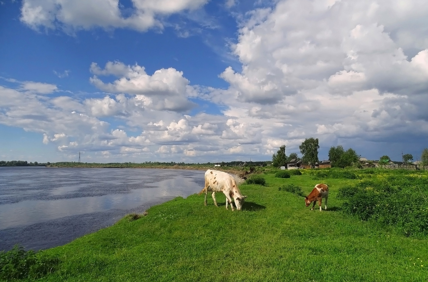 Сибирская пасторалька
