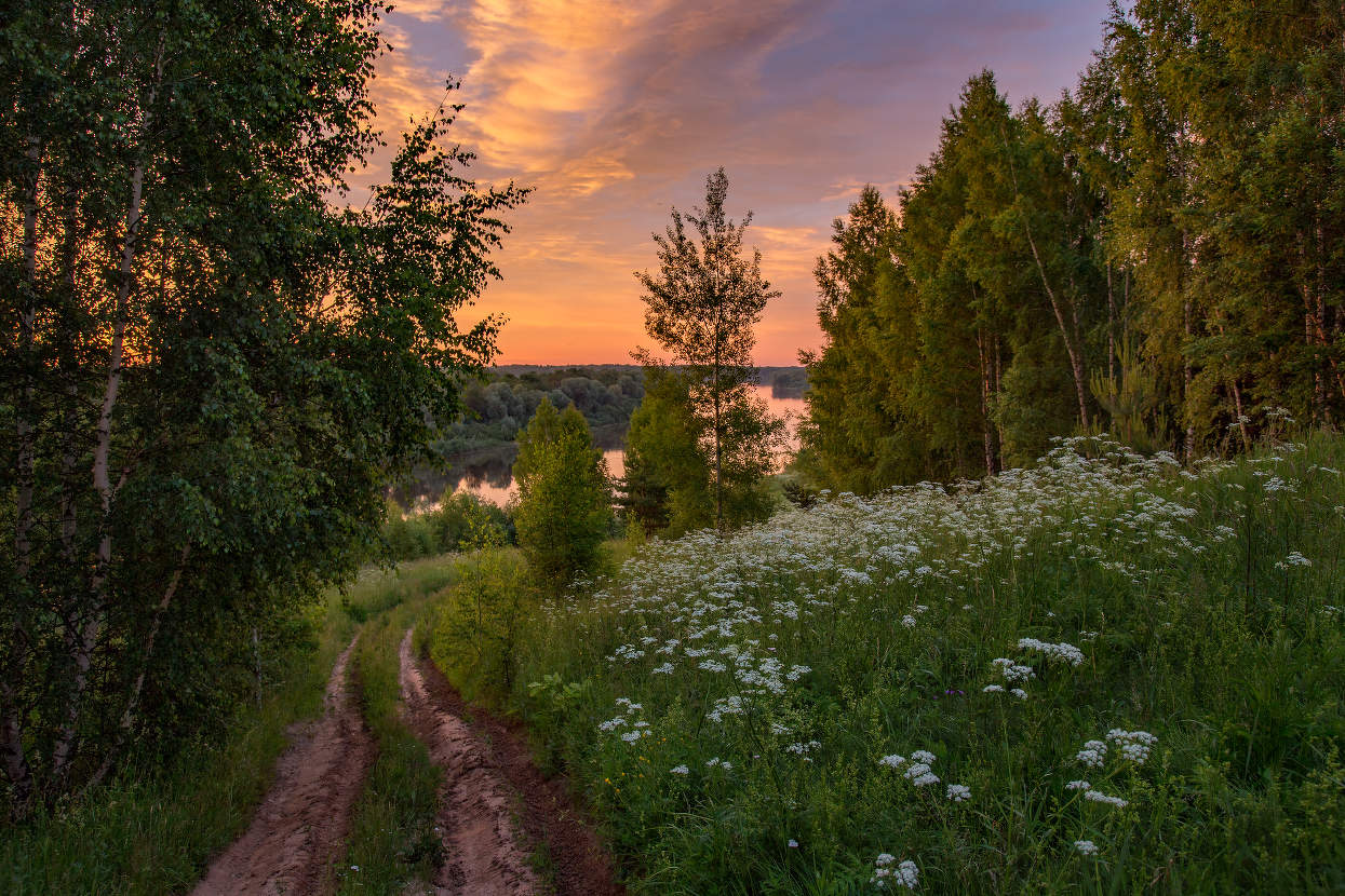 Июнь. Под Глубоково