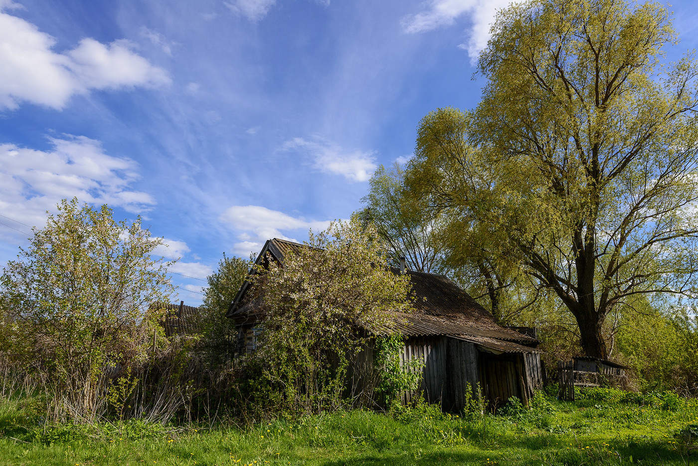 Забытый дом...