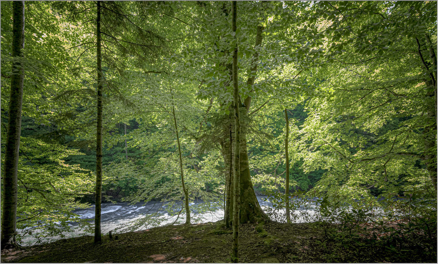 У горной реки