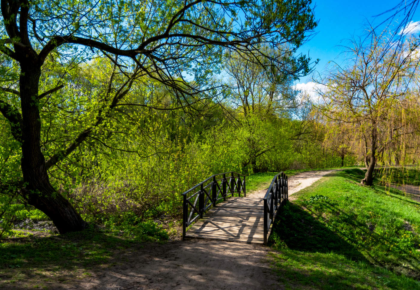 летние зарисовки