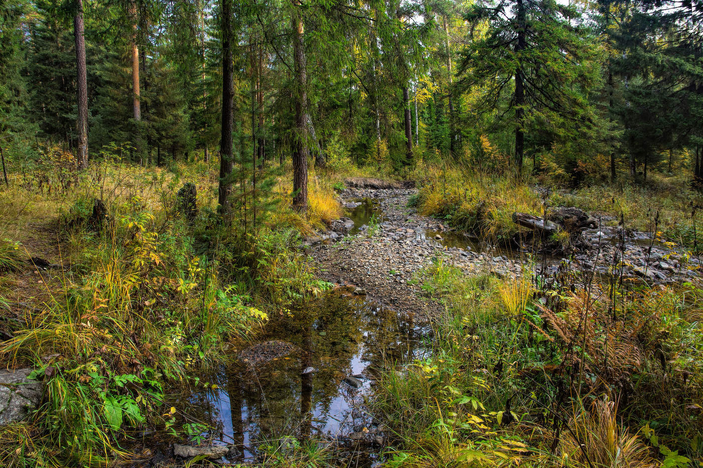 Тихий лесной уголок