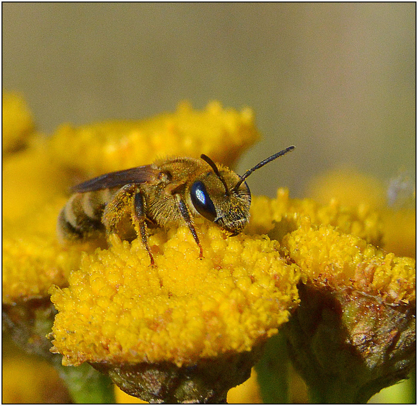 Всю жизнь одна.