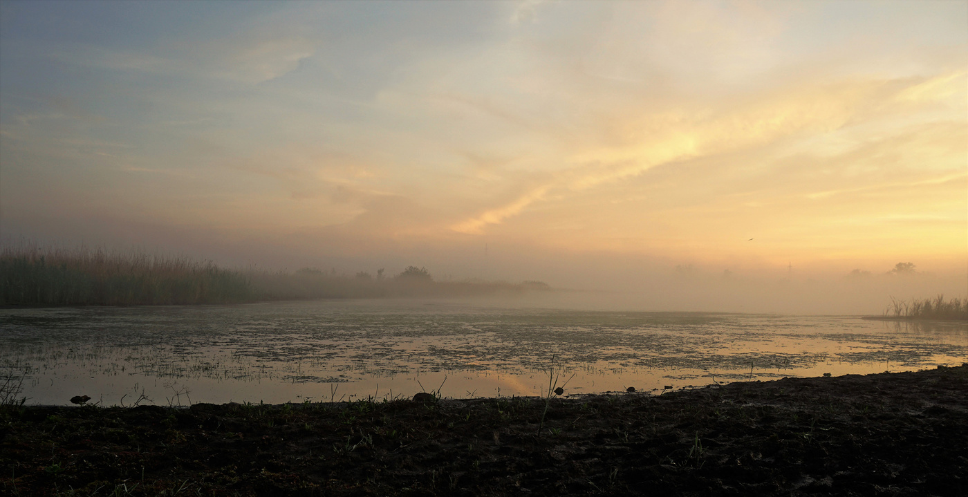В тишине тумана