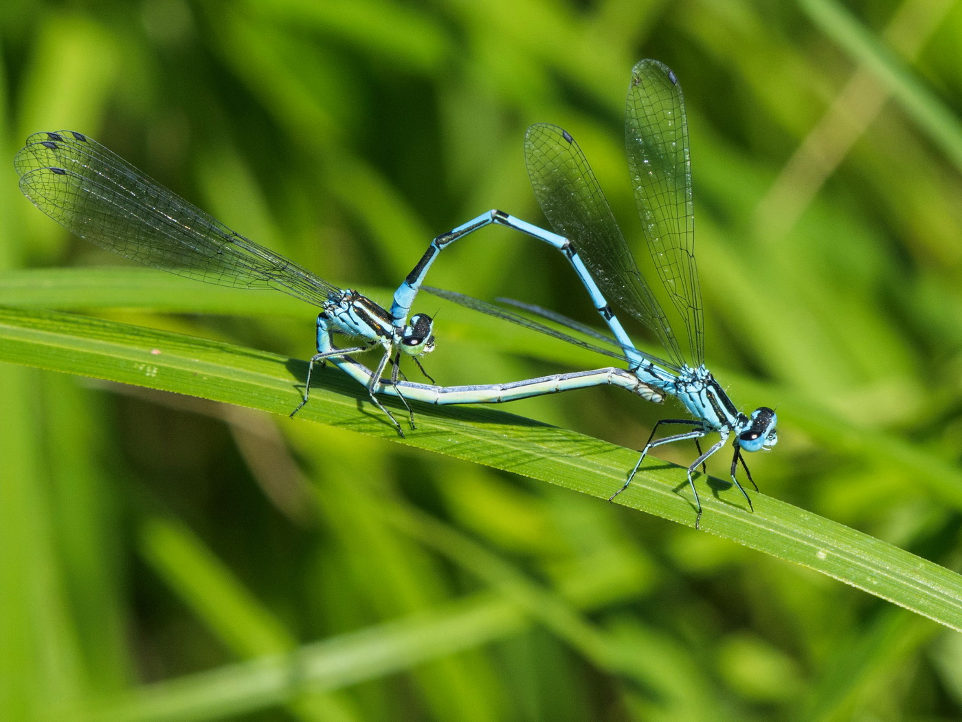Горячие отношения.