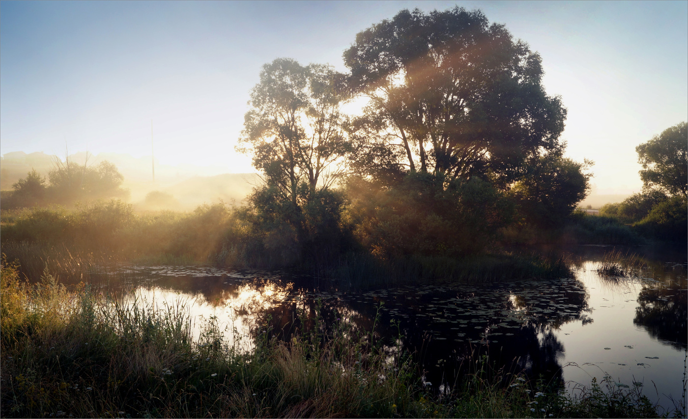 Летнее утро