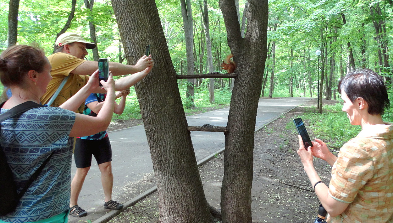 Фотосессия белки