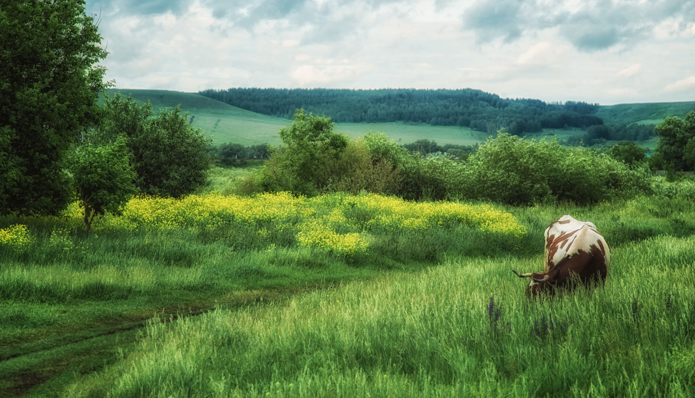 Луг за околицей села Субханкулово