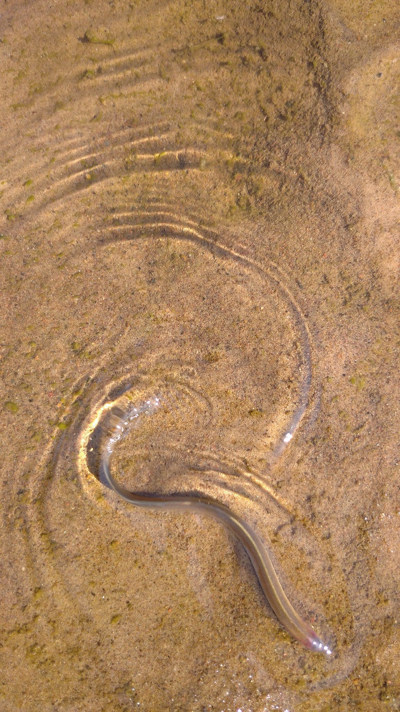 Жизнь вокруг