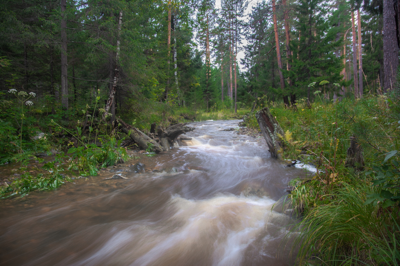 Бурный поток