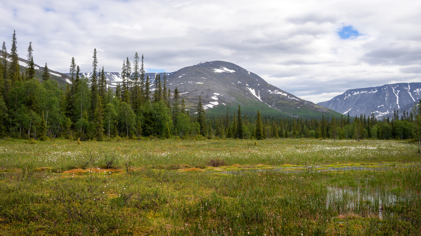 Хибины в июне