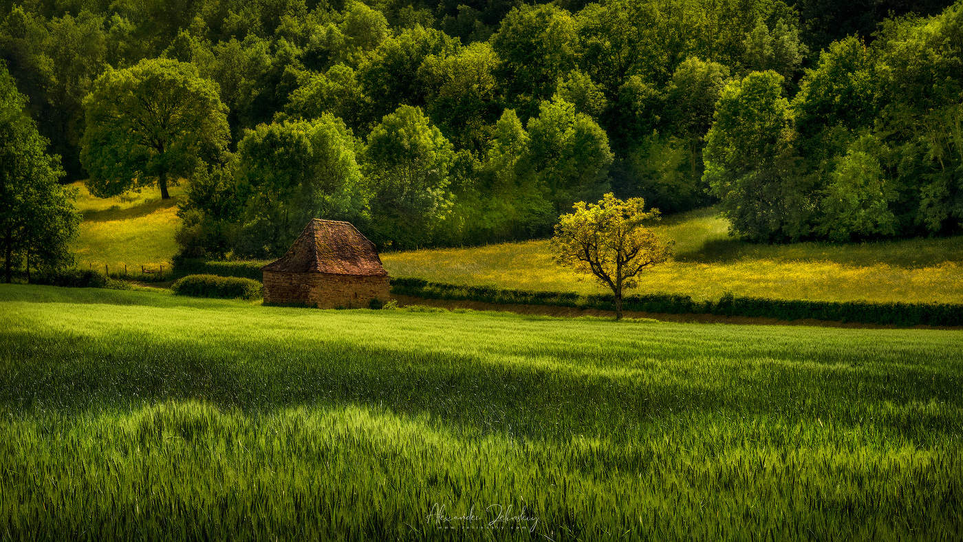 Майское поле