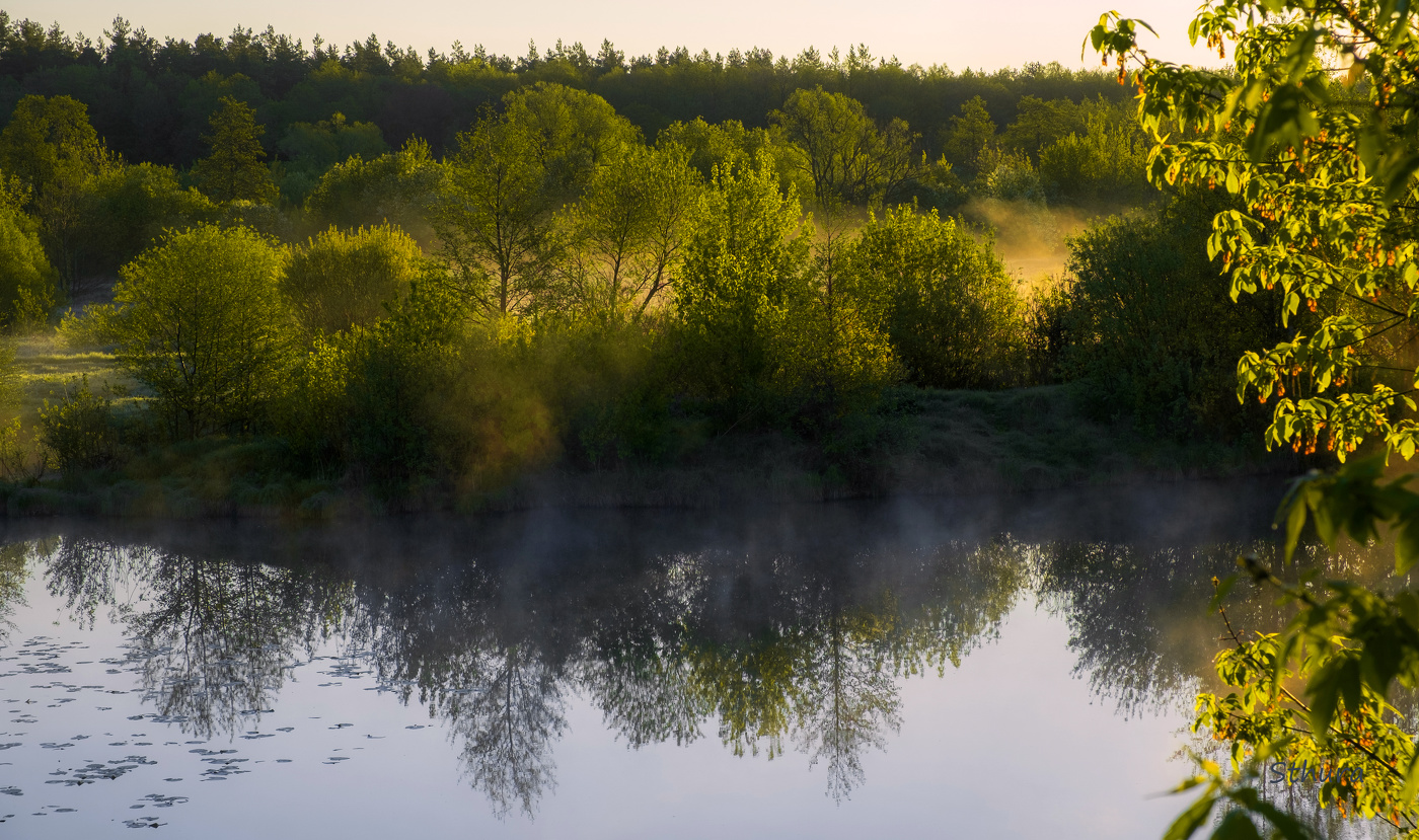 Утро весеннее.