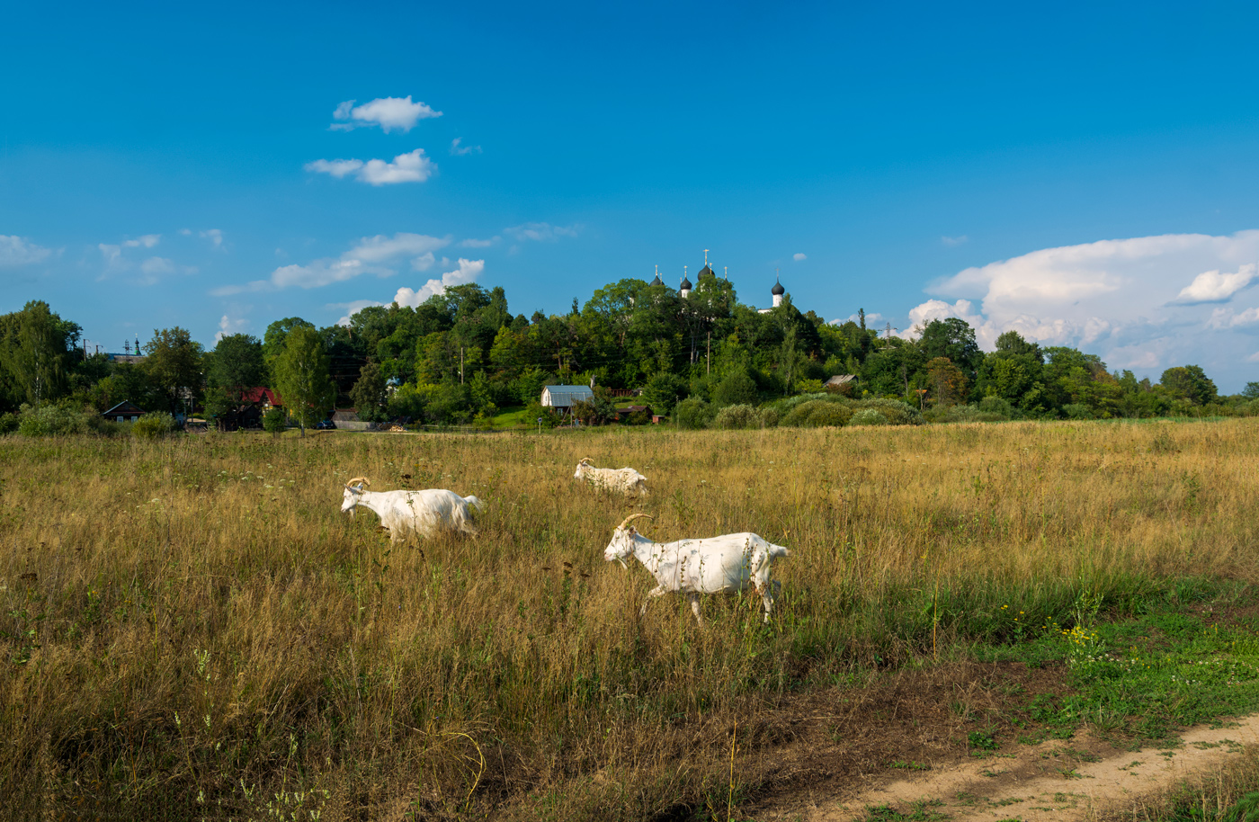 обаяние русской глубинки