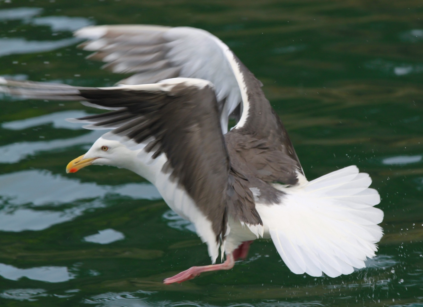 Мягкая посадка