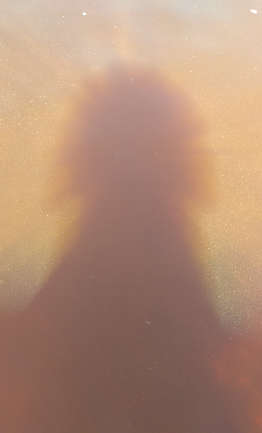 Жизнь вокруг