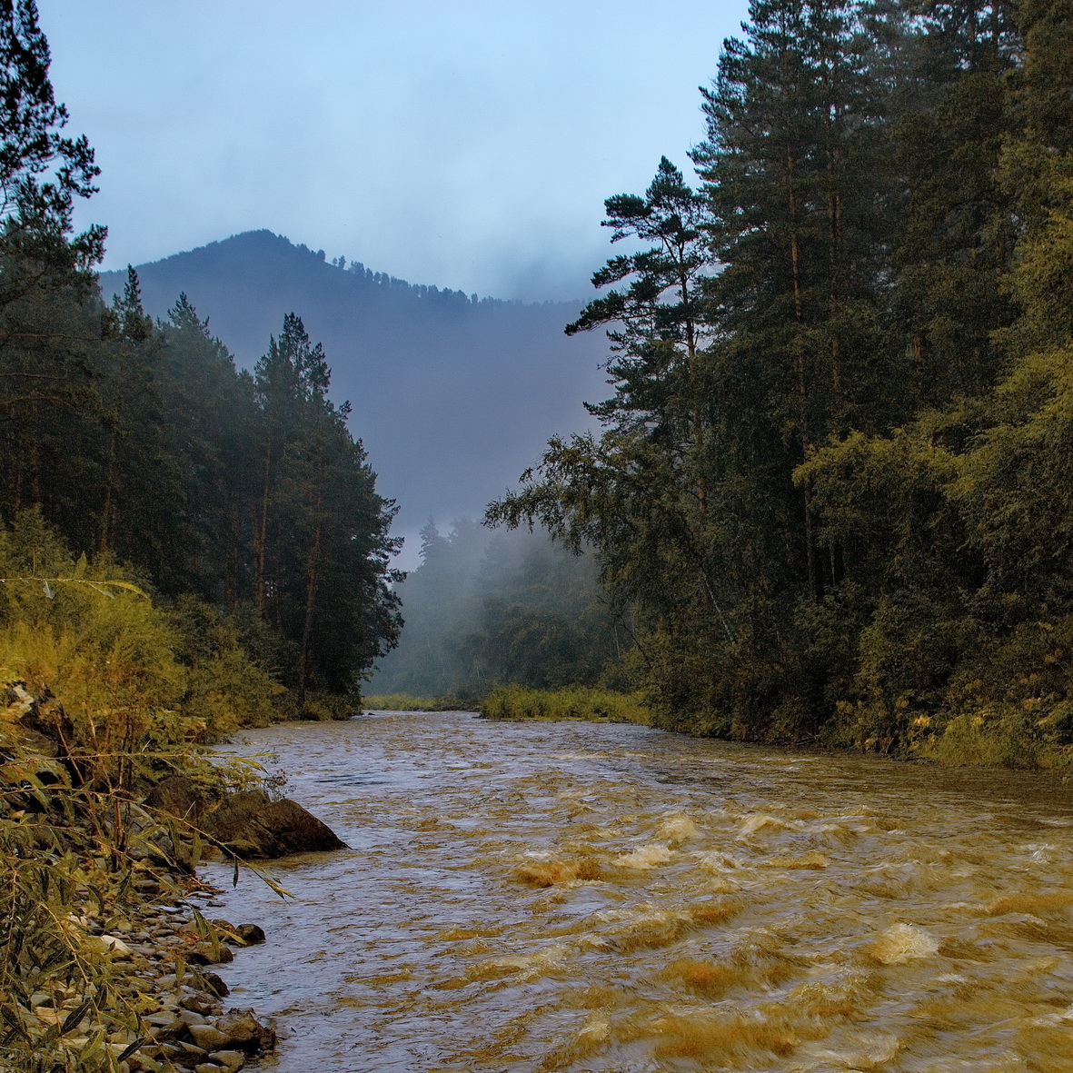 *После дождя.**