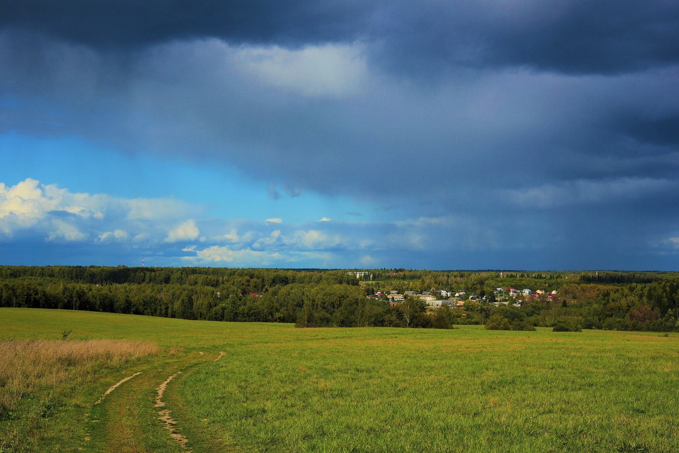 Перед дождем ...