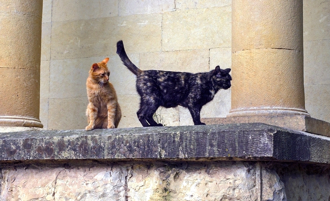 Последняя капля...