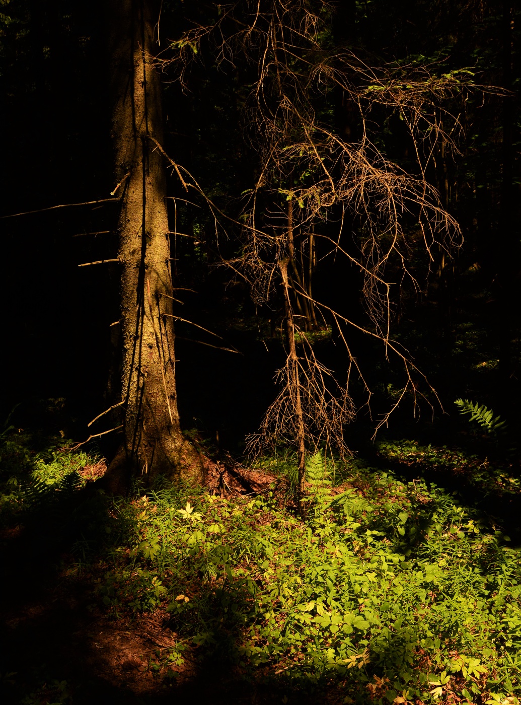 Луч света в темном царстве ...