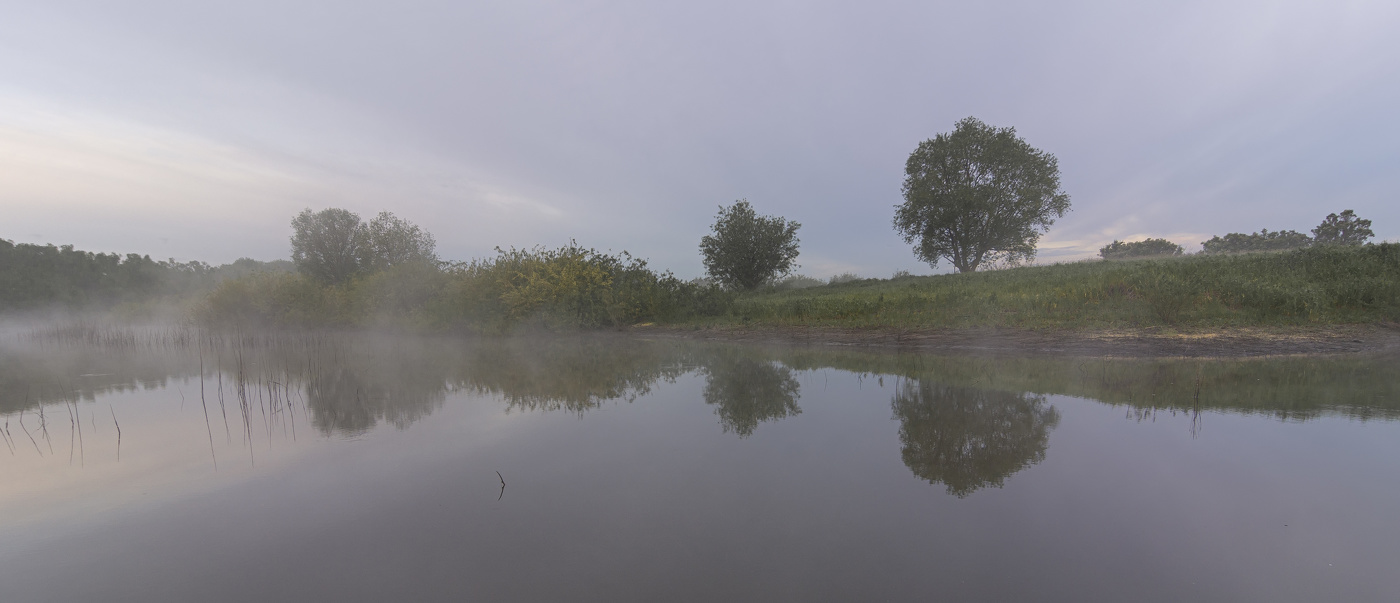 пасмурное и туманное утро