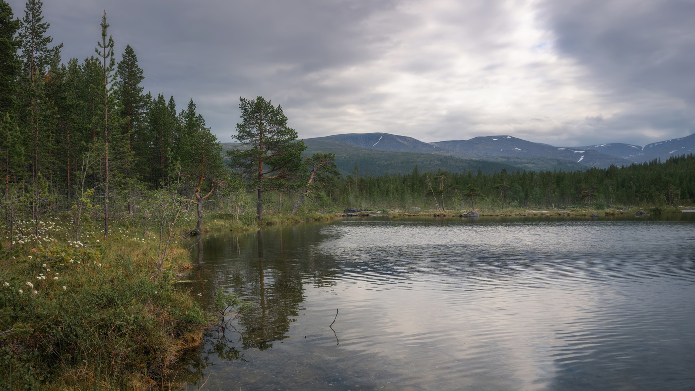 Будет дождь?