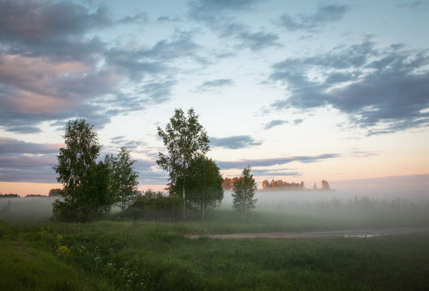 Вечерний туман