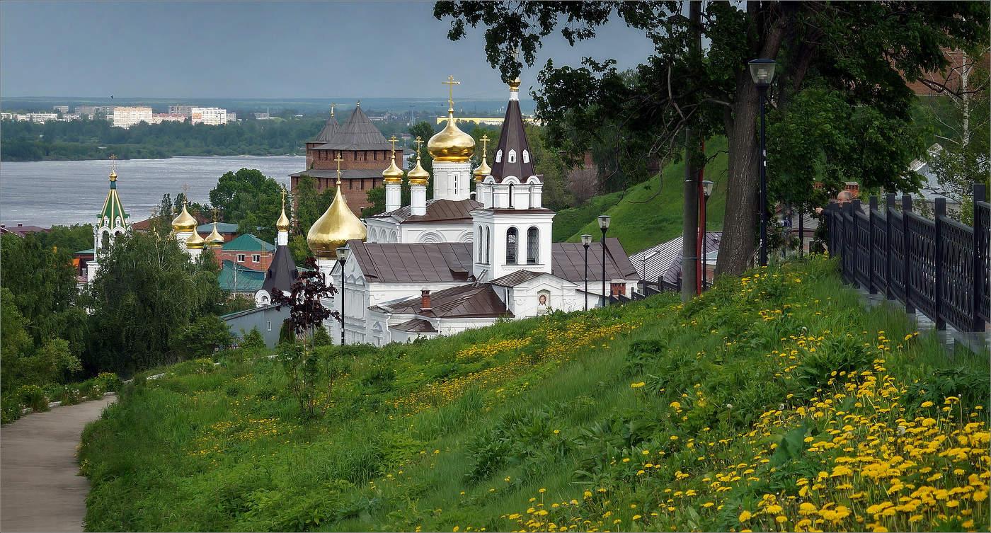 Вид на Волгу, с одуванчиками