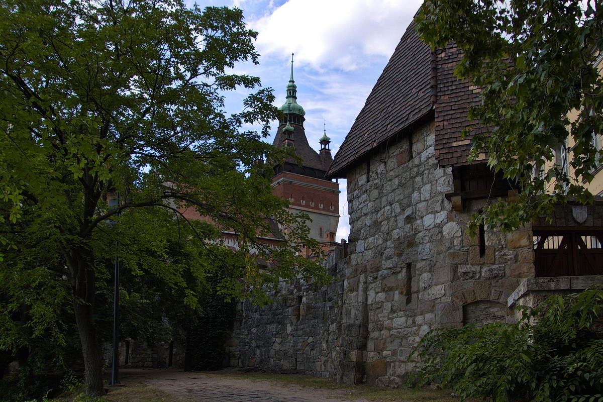 Замок Вайдахуняд