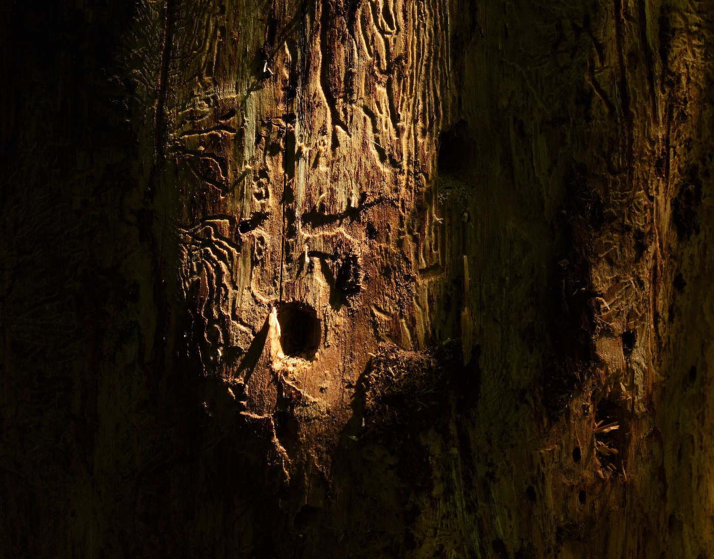 Старость ...