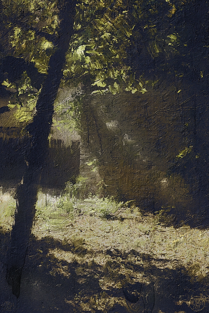 солнечный угол