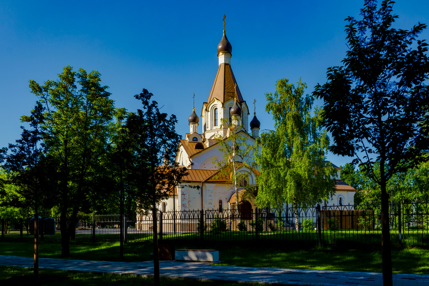 светлое утро