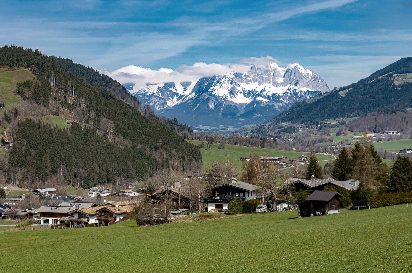 Среди альпийских лугов