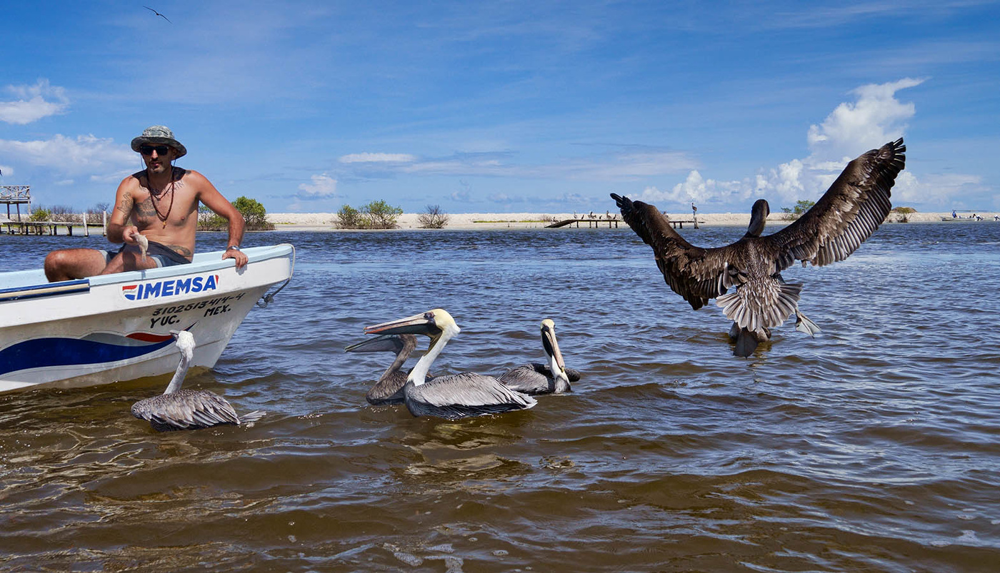 В заповеднике Рио Лаградос