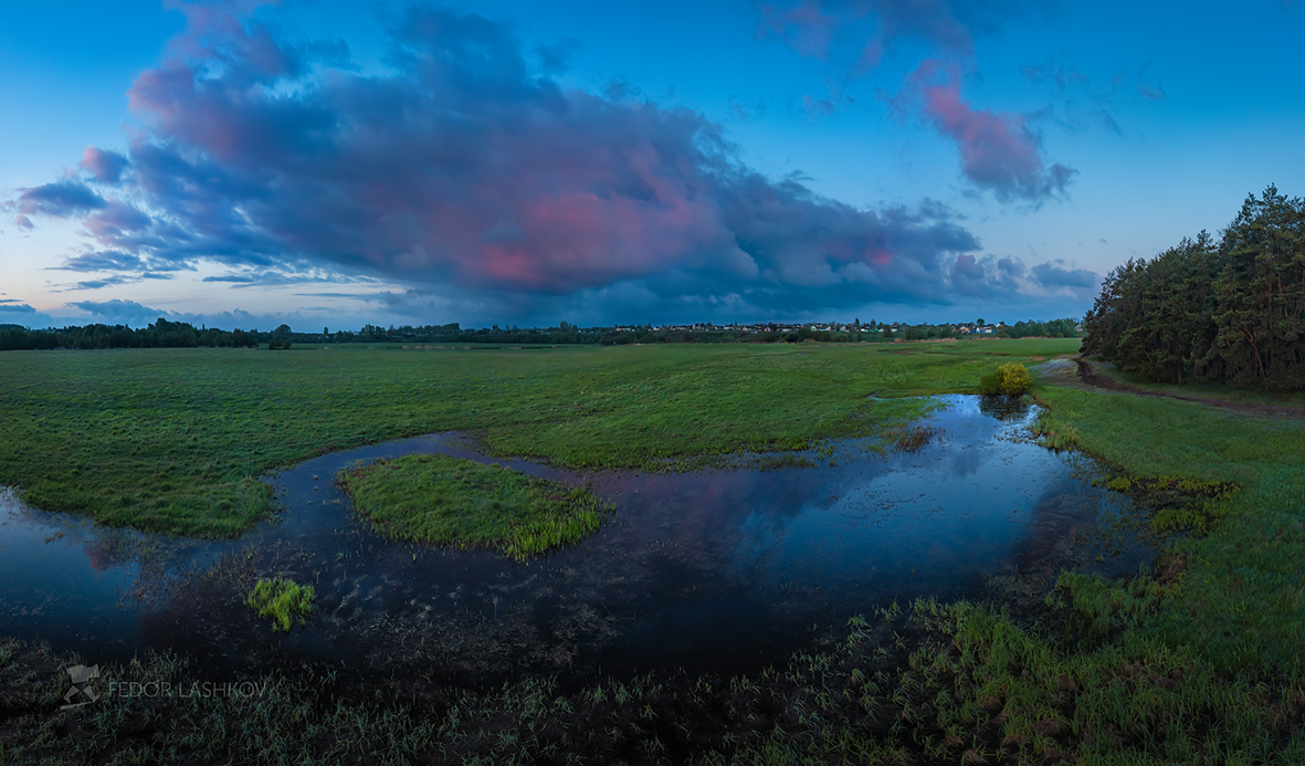 Заливные луга