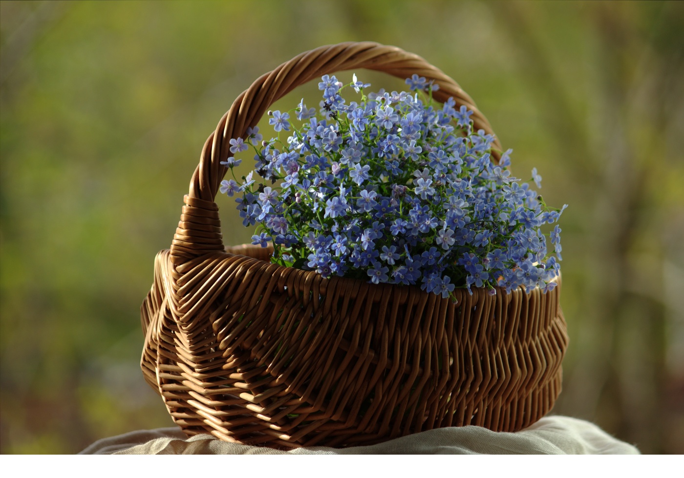 Н е з а б у д к и