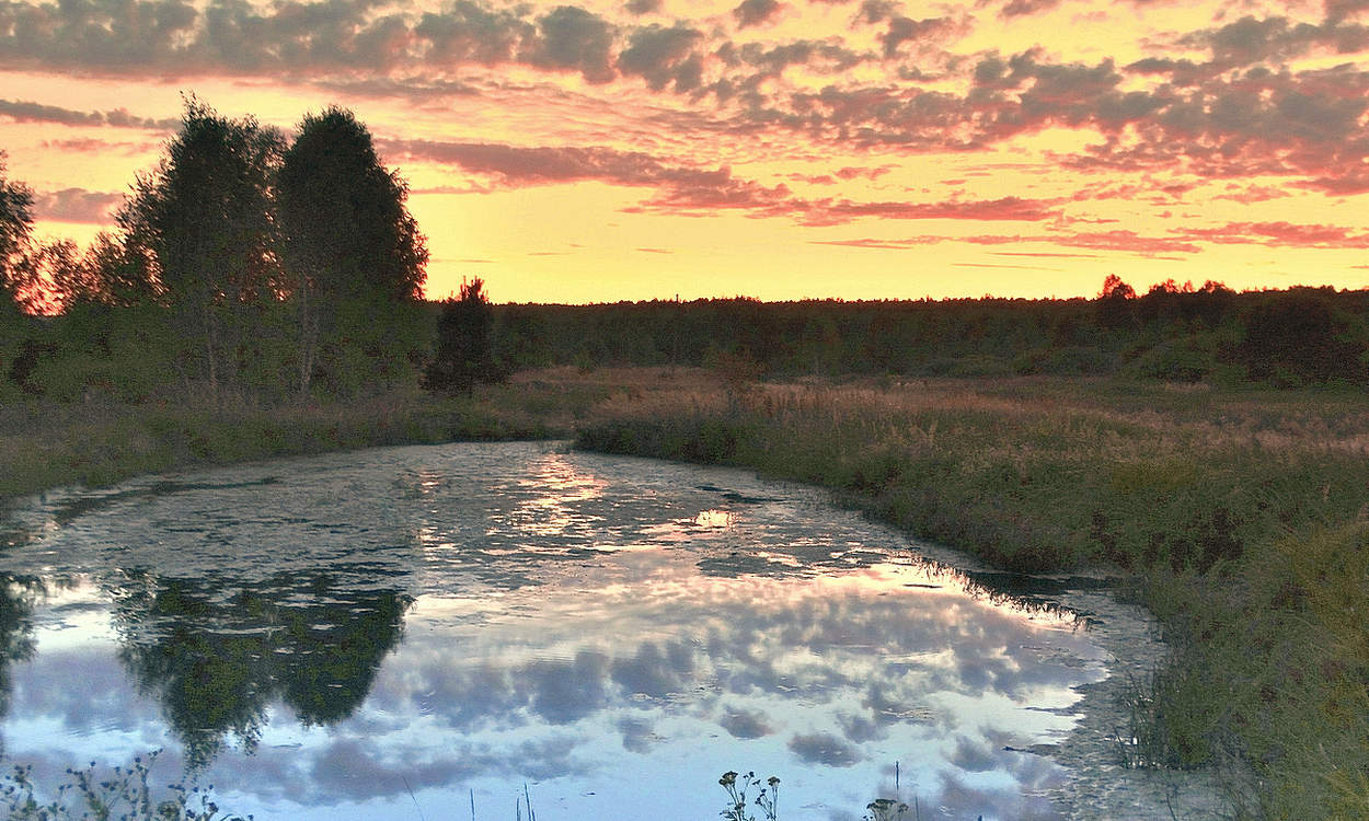 Вечер в Полесье