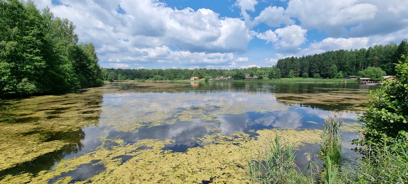Июльский полдень...