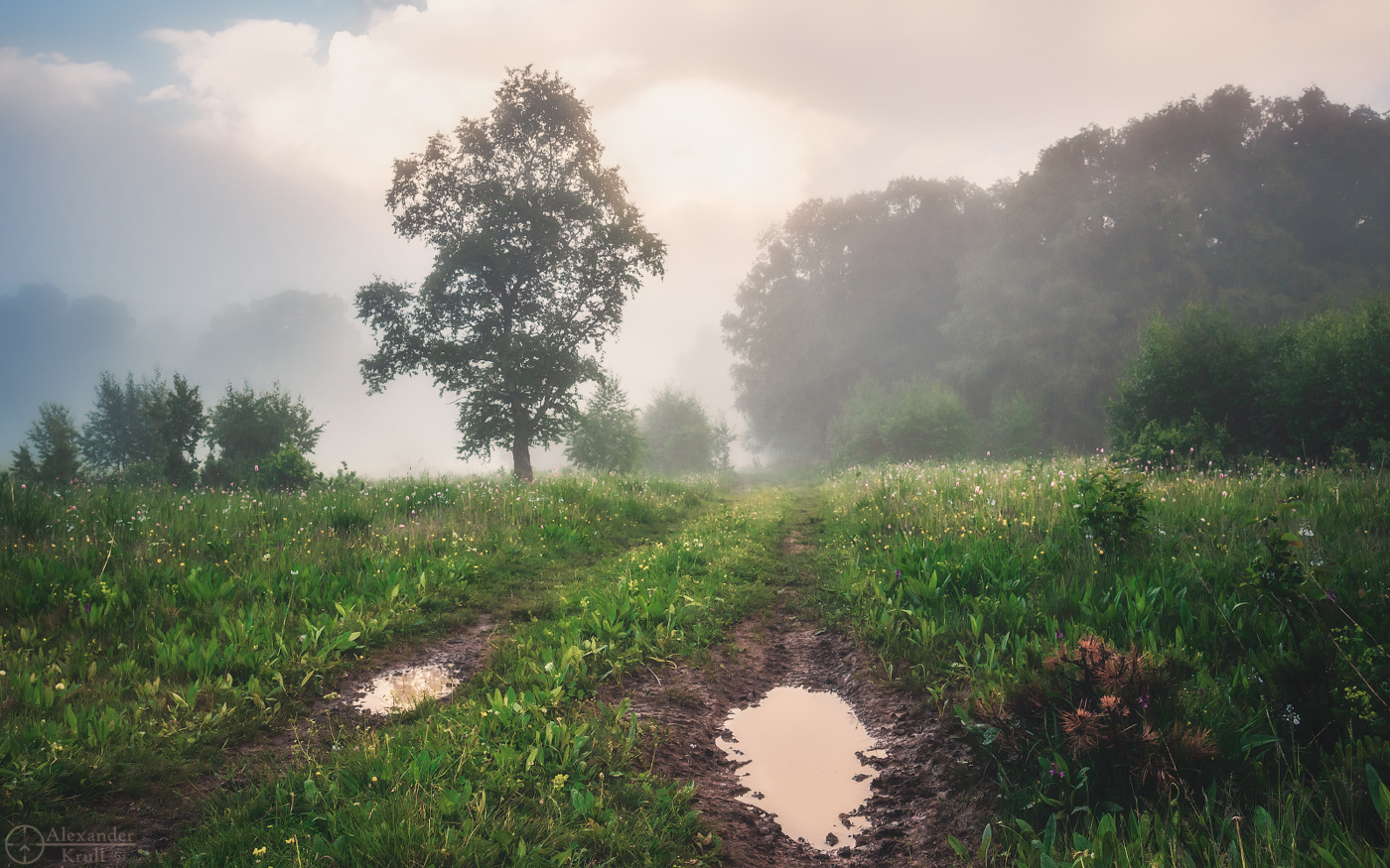 Туманным вечером на Бамбаках