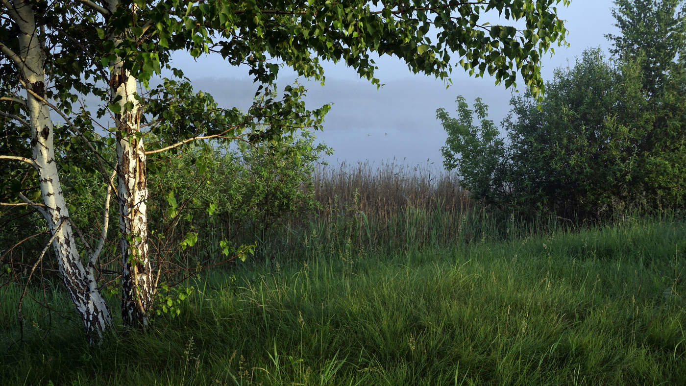 В тишине рассвета